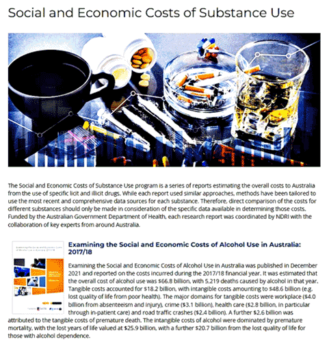 Social and Economic Costs of Substance Use